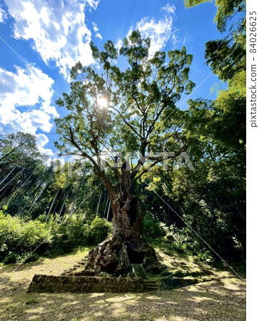 Takeo's Okusu Power Spot(武雄市/佐賀) Takeo's Okusu Power Spot(武雄市/佐賀) 84026625