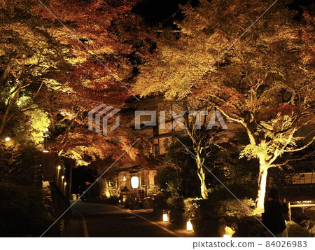 Kibune's autumn leaves lit up Kibune's autumn leaves lit up 84026983