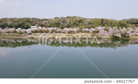 水源公園 84027767