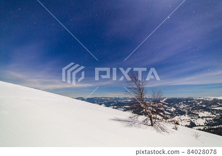 Magical winter landscape with snow covered tree. Vibrant night sky with stars and nebula and galaxy. Deep sky astrophoto. Magical winter landscape with snow covered tree. Vibrant night sky with stars and nebula and galaxy. Deep sky astrophoto. 84028078