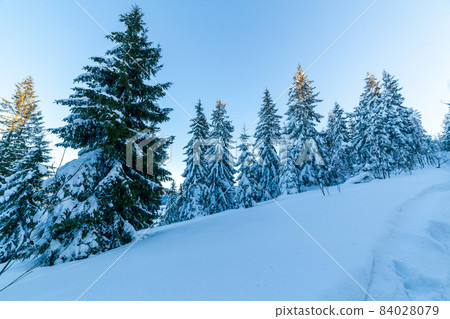 Wonderful wintery Scenery in sunny day. Winter landscape with snow capped mountain under sunlight. Popular hiking and travel place. Winter wonderland. stunning nature background. Carpathian mountains. 84028079