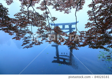 秋天的由布院(金鱗湖、天總神社) 秋天的由布院(金鱗湖、天總神社) 84028181