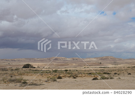 ruins of an ancient Nabatean city in the northern Negev 84028290