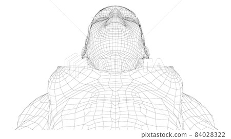 Wireframe female breast. Close-up view Wireframe female breast. Close-up view 84028322