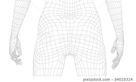 Wireframe female body. 3d illustration Wireframe female body. 3d illustration 84028324