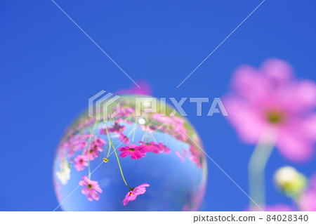Blue sky, cosmos, lens ball Blue sky, cosmos, lens ball 84028340