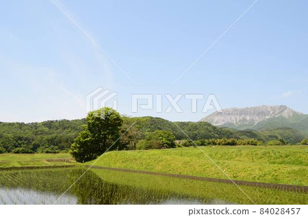 鳥取甲府 鳥取甲府 84028457
