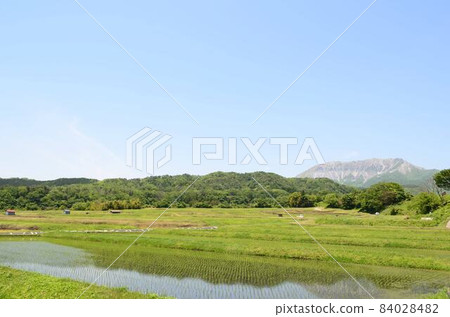 鳥取甲府 鳥取甲府 84028482
