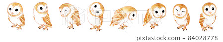 可愛的穀倉貓頭鷹圖水平線 84028778