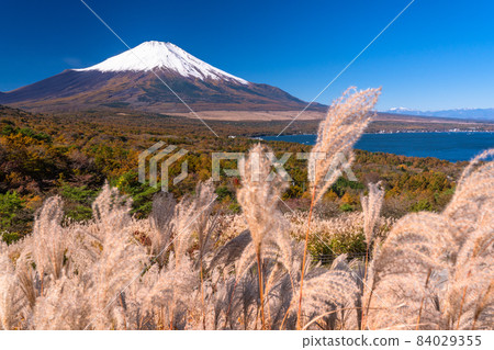 《山梨縣》秋天的富士山/山中湖全景台 《山梨縣》秋天的富士山/山中湖全景台 84029355