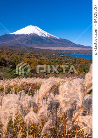 《山梨縣》秋天的富士山/山中湖全景台 84029357