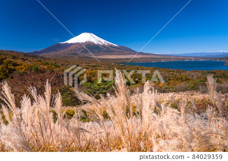 《山梨縣》秋天的富士山/山中湖全景台 《山梨縣》秋天的富士山/山中湖全景台 84029359