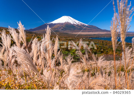 《Yamanashi Prefecture》 Autumn Mt. Fuji / Yamanakako Panorama Dai 84029365