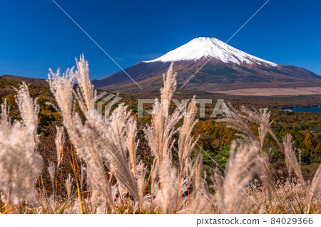 《Yamanashi Prefecture》 Autumn Mt. Fuji / Yamanakako Panorama Dai 84029366