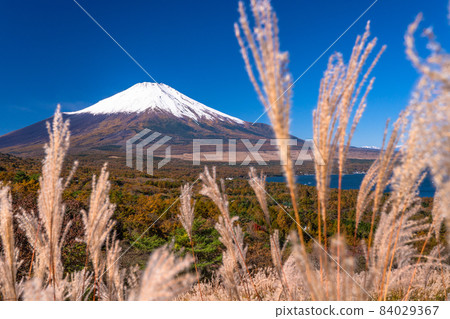 《Yamanashi Prefecture》 Autumn Mt. Fuji / Yamanakako Panorama Dai 《Yamanashi Prefecture》 Autumn Mt. Fuji / Yamanakako Panorama Dai 84029367