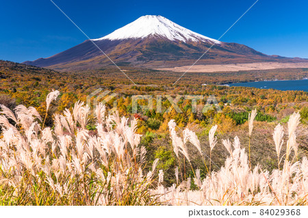 《Yamanashi Prefecture》 Autumn Mt. Fuji / Yamanakako Panorama Dai 《Yamanashi Prefecture》 Autumn Mt. Fuji / Yamanakako Panorama Dai 84029368