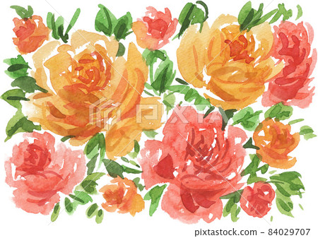 玫瑰 玫瑰花 花紋 84029707