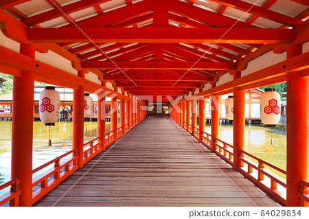 嚴島神社 嚴島神社 84029834