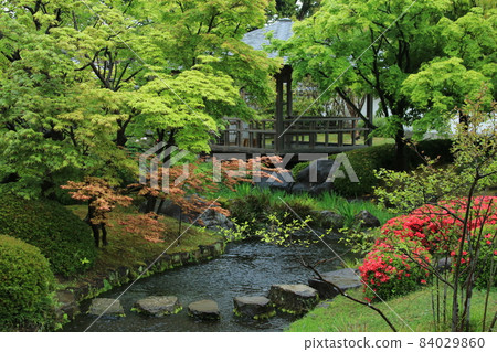姬路城西府邸花園“高園” 姬路城西府邸花園“高園” 84029860
