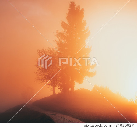 Beautiful autumn landscape Beautiful autumn landscape 84030027