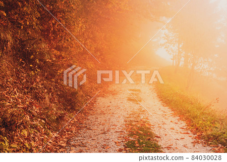 Beautiful autumn landscape 84030028