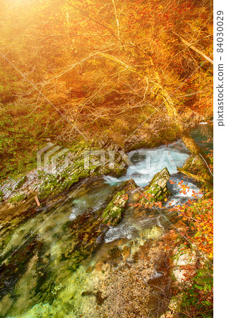 Vintgar gorge, Slovenia 84030029
