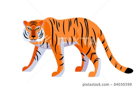Tiger vector illustration isolated on white background. Big royal striped cat walking 84030399