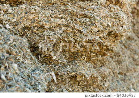 Closeup of pile of natural organic pressed maize silage 84030455