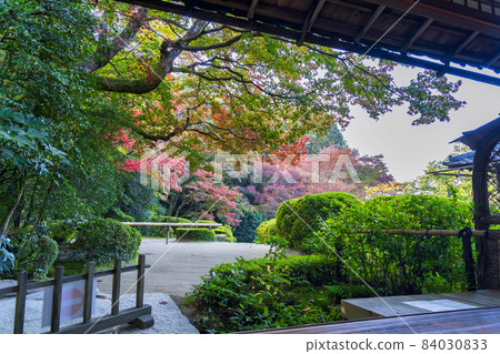 Shisen-do Jozan-ji Temple 秋葉園風景京都府京都市 84030833