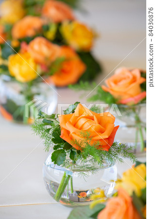 橙色和黃色玫瑰，一種可以改善人際關係的好運顏色 84030876