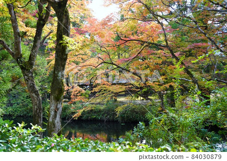Autumn leaves in Yufuin, Oita Prefecture Autumn leaves in Yufuin, Oita Prefecture 84030879