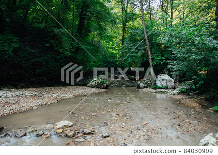 gorge with a mountain river in a green forest gorge with a mountain river in a green forest 84030909
