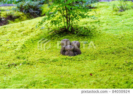 京都府志仙堂定山寺地藏和苔蘚京都市的風景 84030924