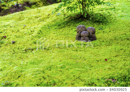 京都府志仙堂定山寺地藏和苔蘚京都市的風景 84030925