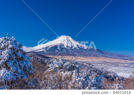 (Yamanashi Prefecture) Mt. Fuji desiring from snow-covered mountain lakeside 84031018