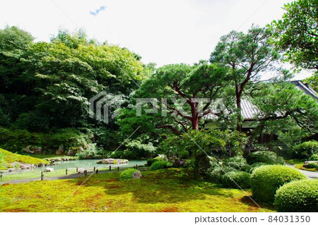 青蓮院主庭園 青蓮院主庭園 84031350