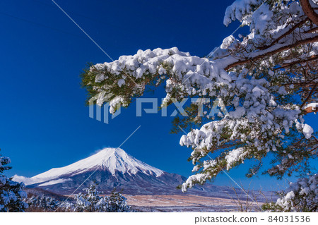 (Yamanashi Prefecture) Mt. Fuji from the snow-capped 20th pass 84031536
