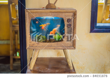 Fish swim in an aquarium that looks like a wooden TV Fish swim in an aquarium that looks like a wooden TV 84031878