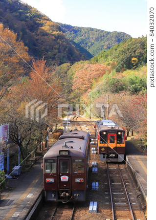 渡良瀨谷鐵路“11月上旬的神戶站和秋葉” 渡良瀨谷鐵路“11月上旬的神戶站和秋葉” 84032070