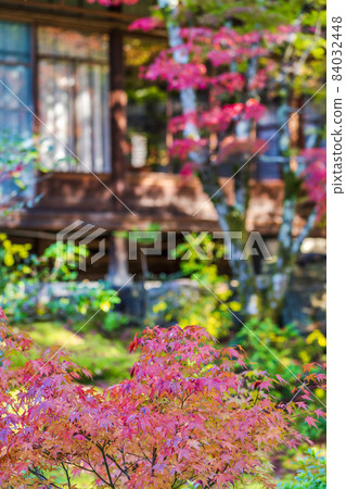 Scenery of Tenju-an Autumn leaves, Kyoto City, Kyoto Prefecture 84032448
