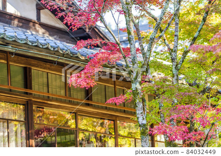 Scenery of Tenju-an Autumn leaves, Kyoto City, Kyoto Prefecture 84032449