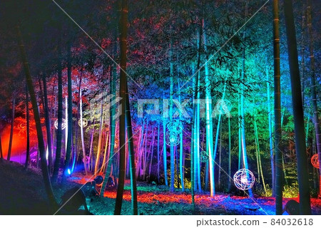 燈火通明的古墓和竹林 燈火通明的古墓和竹林 84032618