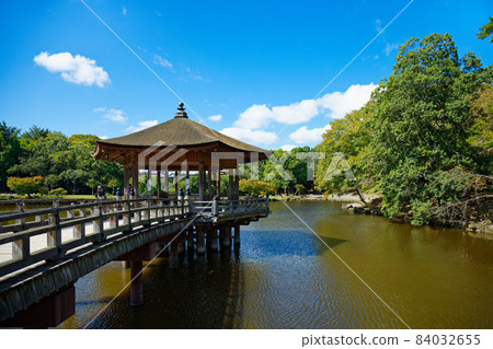 奈良公園池塘和浮見堂 奈良公園池塘和浮見堂 84032655