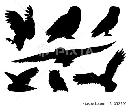 Vector set bundle of hand drawn owl silhouette 84032701