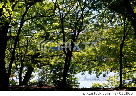 Lake Ippeki Izu no Hitomi End of October Blue Hitomi Blue Sky 84032969