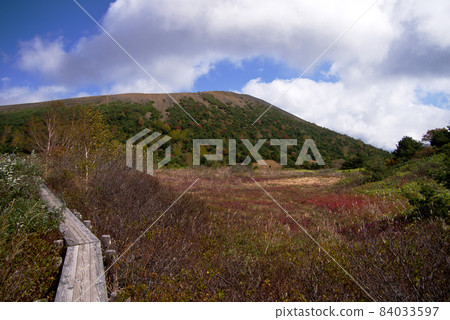 Autumn leaves from the wooden path of Jododaira. Azuma Kofuji can be seen in the back Autumn leaves from the wooden path of Jododaira. Azuma Kofuji can be seen in the back 84033597