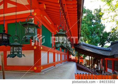 春日大社燈籠 春日大社燈籠 84033802