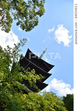 Summer Kyoto Toji Five-storied Pagoda Summer Kyoto Toji Five-storied Pagoda 84034811