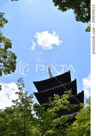 Summer Kyoto Toji Five-storied Pagoda Summer Kyoto Toji Five-storied Pagoda 84034813