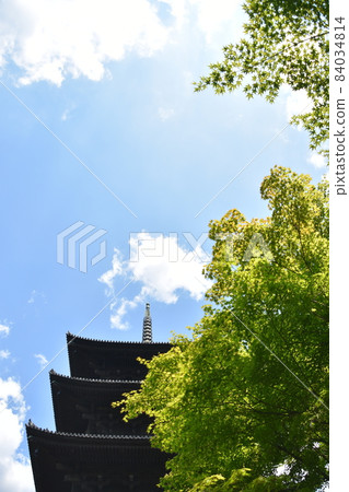 夏季京都東寺五層塔 84034814